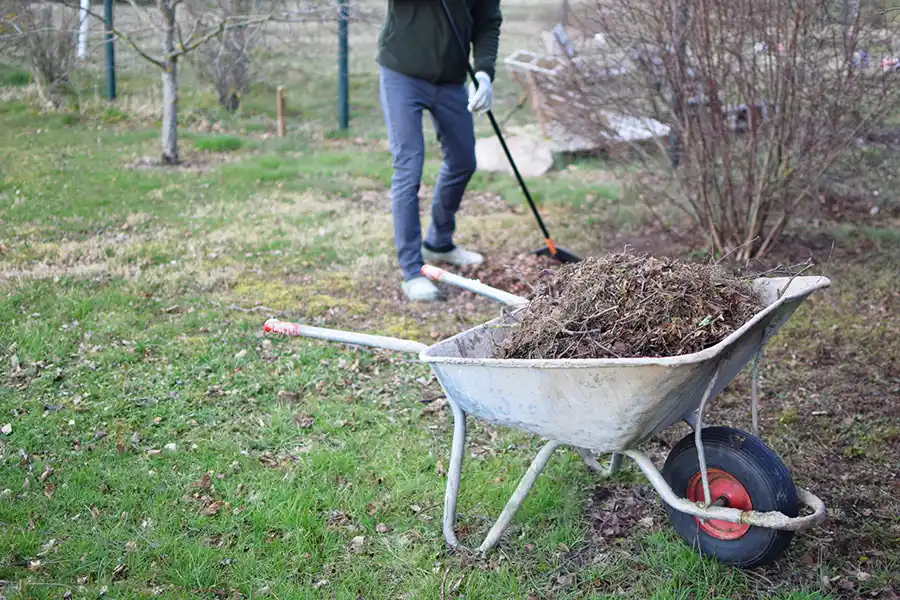 How To Remove Bushes Montgomery, AL How To Remove Bushes Montgomery, AL