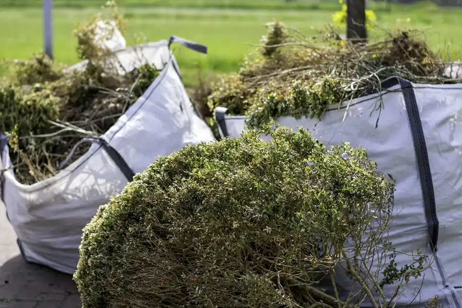 Professional Bush Removal in Montgomery, AL Reliable Bush Removal in Montgomery, AL